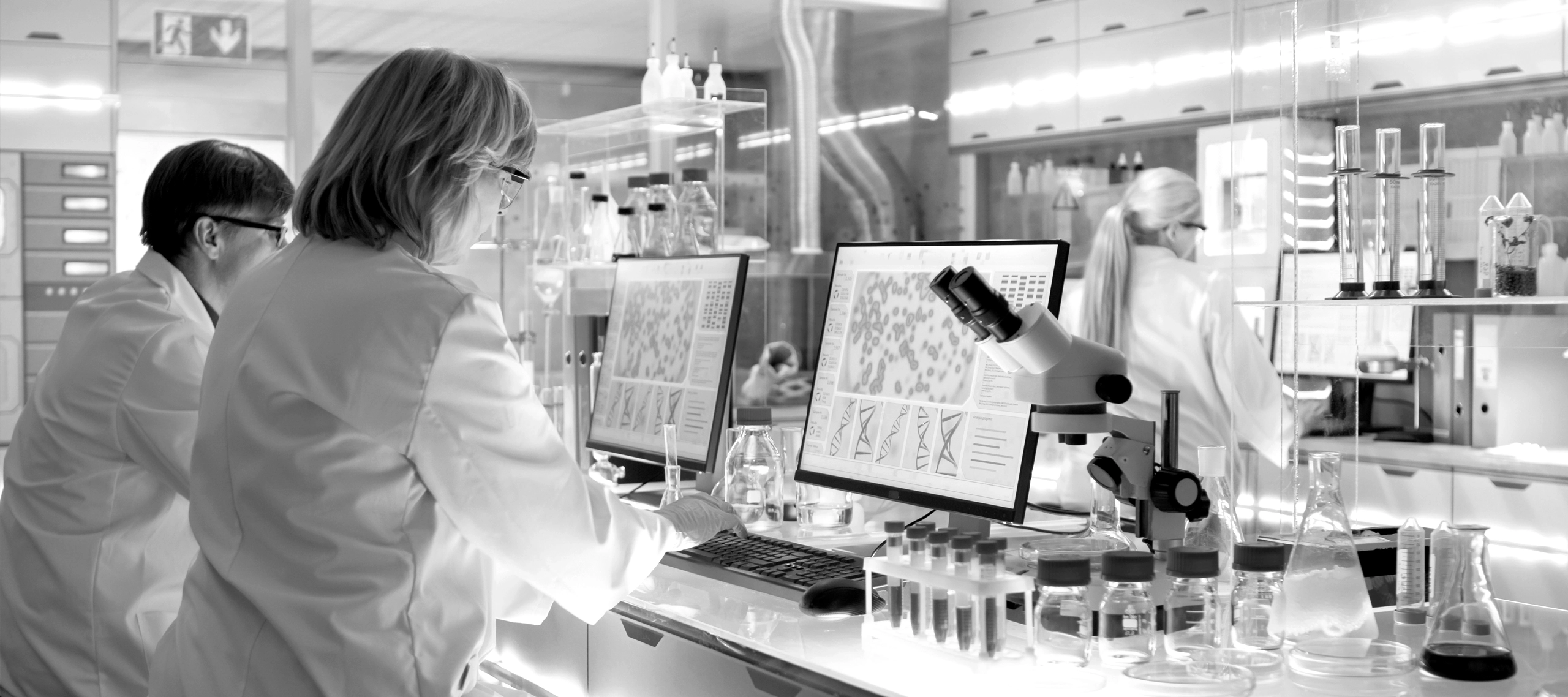 Zdjęcie nagłówkowe